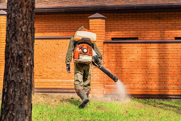 Trusted Emergency Pest Control service in Portland, OR - Nex Pest Control